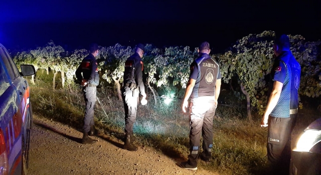 Jandarma ve zabıtadan meyve sebze hırsızlığına karşı ortak devriye