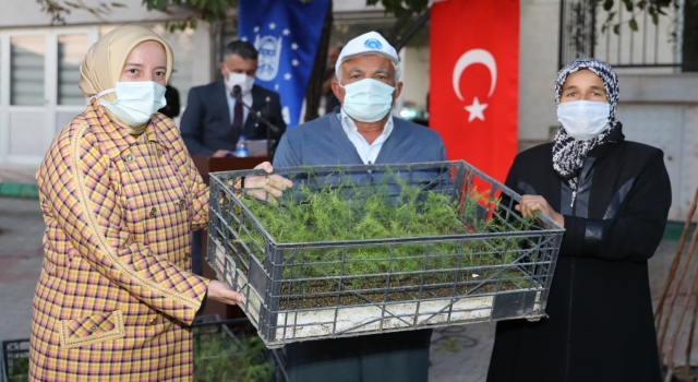 Orhanelili çiftçilere kuşkonmaz ve Trabzon hurması üretimi için destek