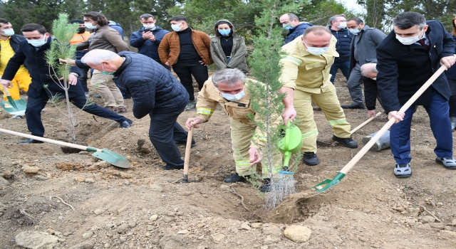 Bursa ve çevre illerde Milli Ağaçlandırma Günü etkinliği düzenlendi