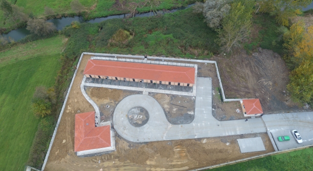 Sakarya’da bataklık alan sokak hayvanlarının yuvası olacak