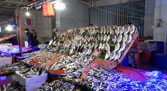 Gemlik’te hamsi ucuzladı