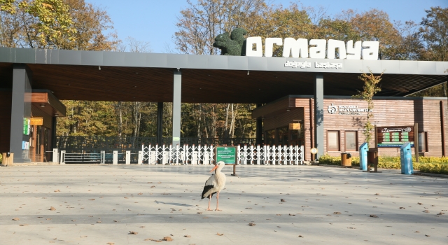 Sonbaharın renk cümbüşünün yaban yaşamla gözlemlendiği adres: ”Ormanya”