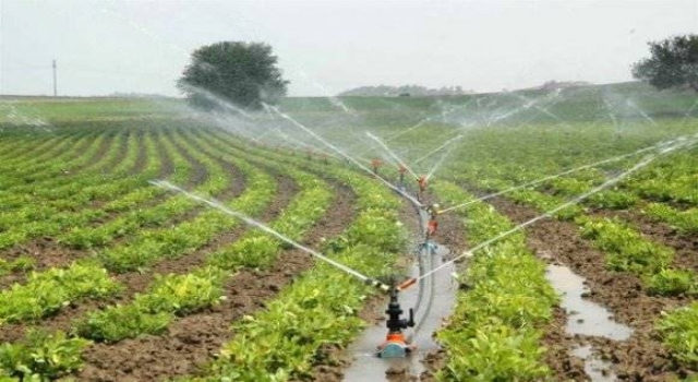 Edirne’de 78 bin dekar tarım arazisi daha modern sulama sistemine kavuşuyor