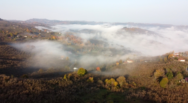 Sakarya’da etkili olan sis sonbahar renkleriyle görsel şölen sundu