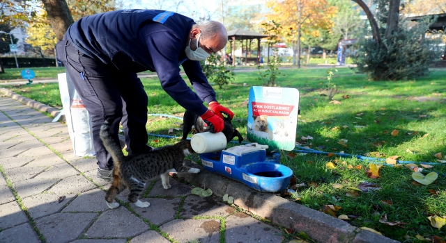 Bağcılar’da sokak hayvanları için mama bırakıldı