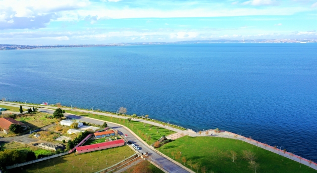 Karamürsel’de sokak hayvanlarının bakımı ”deniz manzaralı” merkezde yapılıyor