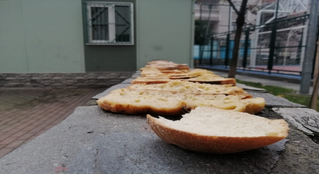 İnegöl’de mahalle muhtarı çöpe atılan ekmeklerle sokak hayvanlarını besliyor