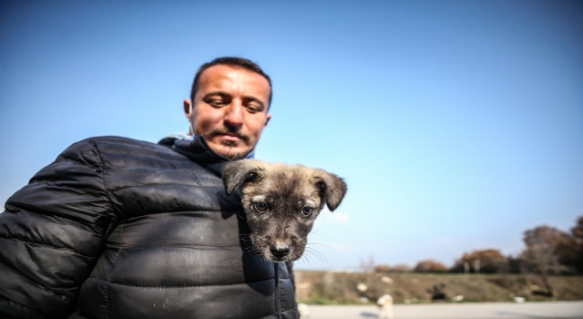 Sokak kısıtlamasında ”can dostlar aç kalmasın” diye çalışma yürütüyorlar