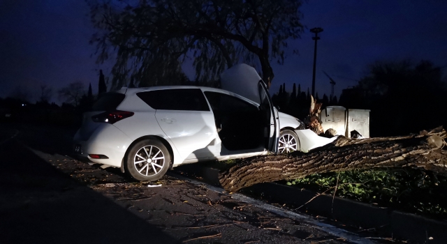 Kocaeli’de ağaca çarpan otomobil sürücüsü yaralandı