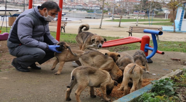 Tekirdağ’dan kısa kısa