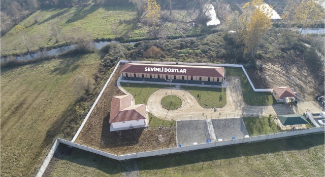 Kocaali’de geçici hayvan barınağı ve rehabilitasyon merkezi inşa edildi