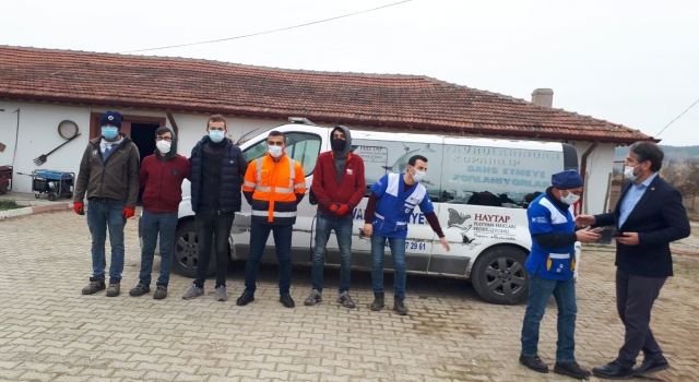 Gölpazarı’nda 120 sokak hayvanı kısırlaştırıldı