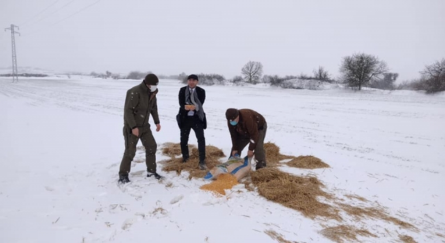 Edirne’de yaban hayvanları için doğaya 2,5 ton yem bırakıldı