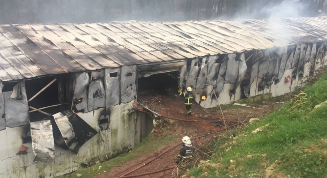 Kocaeli’de tavuk çiftliğindeki yangın söndürülmeye çalışılıyor