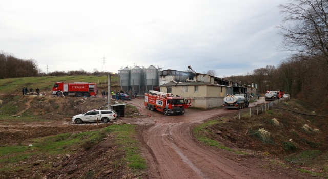GÜNCELLEME Kocaeli’de tavuk çiftliğindeki yangın hasara neden oldu
