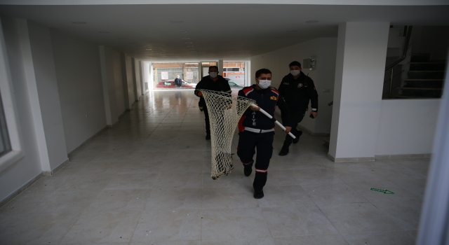 Kırklareli’nde boş bir dükkanda mahsur kalan kedi ”HAYDİ” çağrısıyla kurtuldu