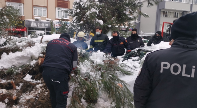 Kocaeli’de fırtına ve kar nedeniyle devrilen ağaç otomobile zarar verdi