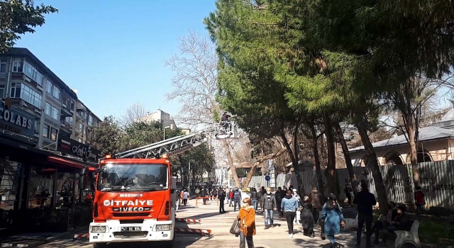 Kocaeli’de ağaçta mahsur kalan kediyi itfaiye ekipleri kurtardı