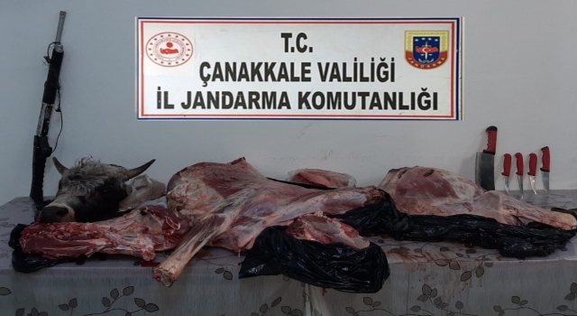 Büyükbaş ve küçükbaş hayvanları tüfekle vurarak çaldıkları iddia edilen 2 zanlı yakalandı