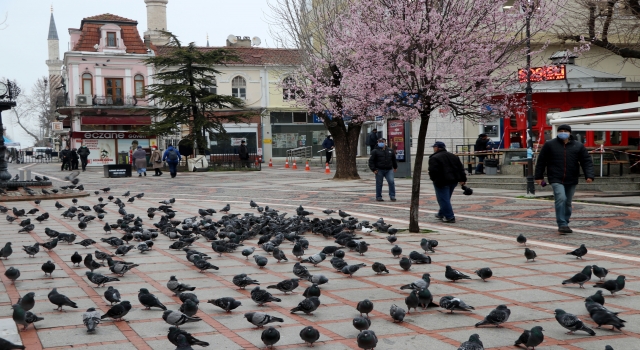 Vaka artışının sürdüğü Trakya’da vatandaşa göre artışın nedeni ”kural tanımazlık”