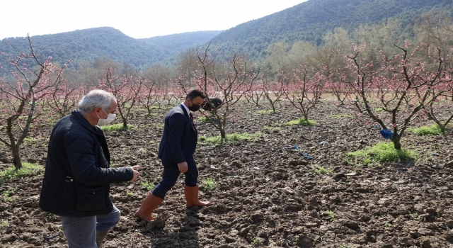 Bilecik’te Göksu Nehri’nin taşmasının ardından tarım arazilerinde hasar tespit çalışması başlatıldı