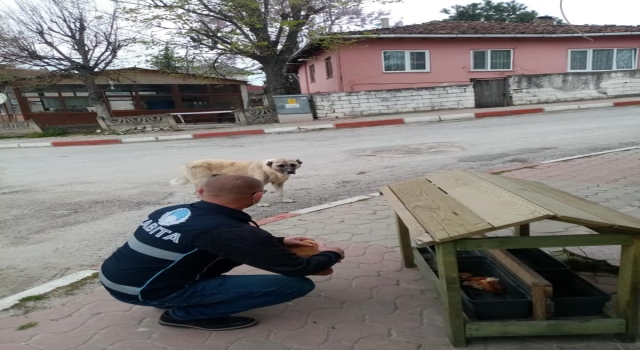 Kırklareli’nden kısa kısa