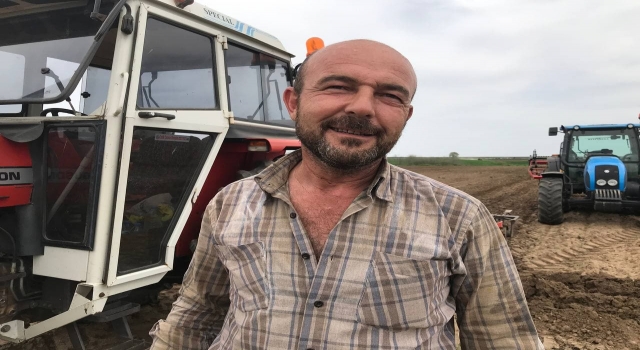 Edirne’de ayçiçek tohumları toprakla buluştu