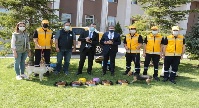 Balıkesir’de sokak hayvanları için koruma ve besleme timi oluşturuldu