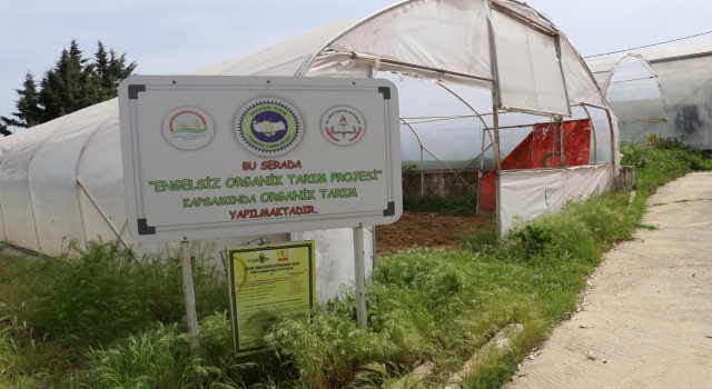 Özel eğitim öğrencileri bitki yetiştirme kurslarını sevdi