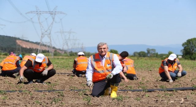 Sakarya’da ata tohumları toprakla buluştu