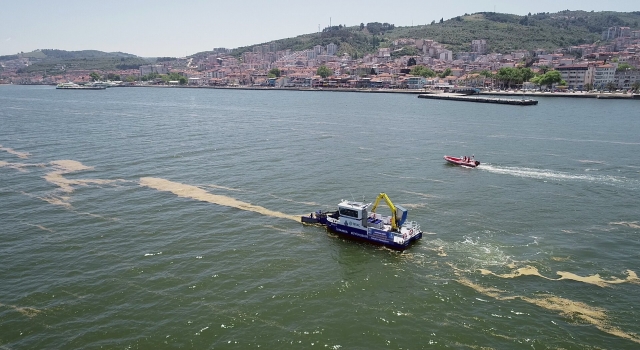 Mudanya’da denizde müsilaj temizliği yapılıyor