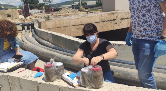 Kocaeli’de dereye atık su döküldüğü iddiası