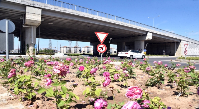 Tekirdağ’dan kısa kısa
