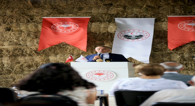 HalkalıKapıkule demir yolu hattında hafriyat dökümünde kullanılan merada yetiştirilen yem bitkileri besicilere dağıtıldı