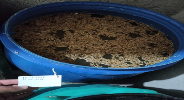 Tekirdağ’da 545 litre sahte içki ele geçirilen evin sahibi gözaltına alındı
