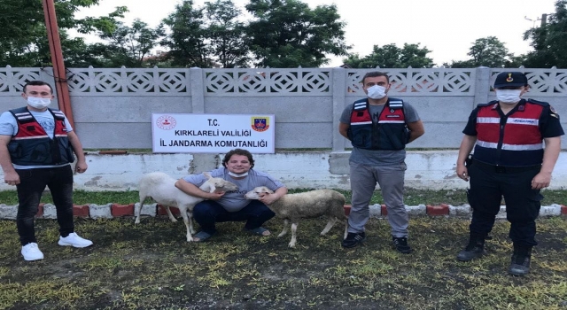 Kırklareli’nde hırsızlığa karşı uyarı için gidilen ağılda çalıntı 2 koyun bulundu