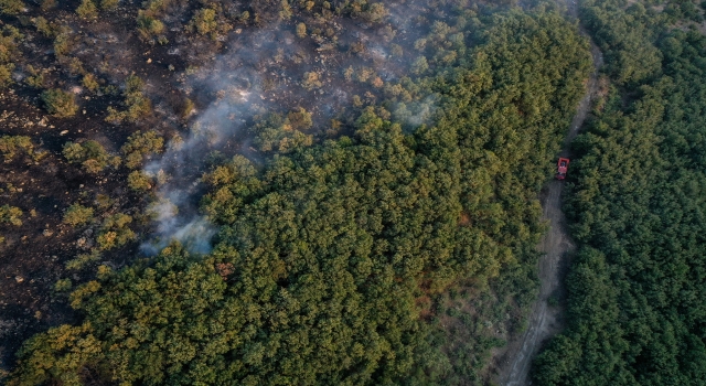 GÜNCELLEME 2 Balıkesir’in Savaştepe ilçesinde çıkan orman yangını kontrol altına alındı