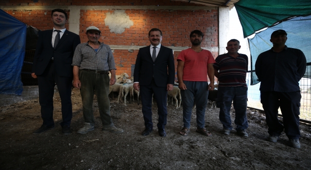 Balıkesir’deki yangında hayvanları telef olan üreticiye belediyeden destek