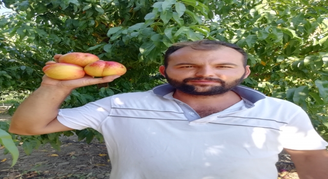 Manyaslı baba ve oğlu 30 dekar alanda başladıkları meyvecilikte 100 dekara ulaştı