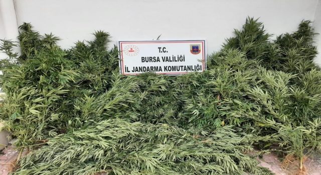 Bursa’da düzenlenen uyuşturucu operasyonunda 2 şüpheli yakalandı
