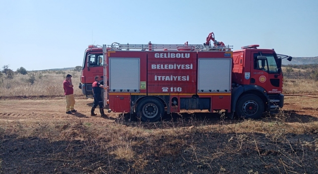 Çanakkale’de ormanlık alanda çıkan yangın söndürüldü