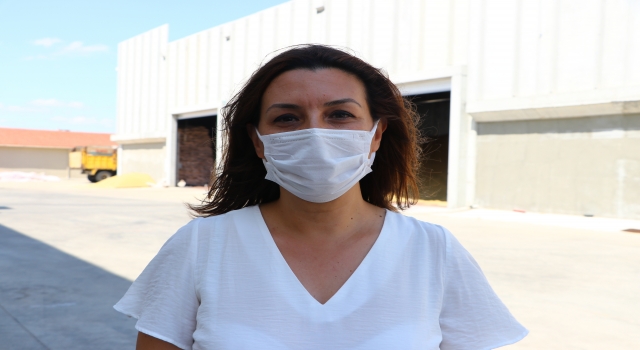 ”Sarı cücelik” hastalığının önlenmesiyle tahıllarda kalite ve verim arttı
