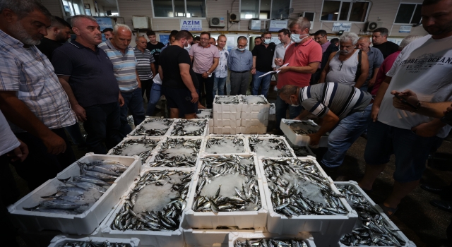 Bandırma Balık Hali’ndeki mezatta sezonun ilk balıkları alıcı buldu