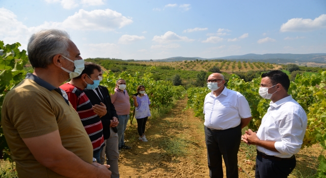 Bilecik’te ”Tarımsal Üretimin Artırılması Projesi” kapsamında üzüm bağları incelendi