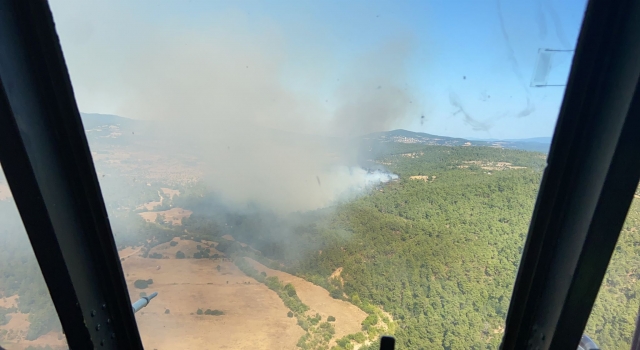 Çanakkale’de çıkan orman yangınına müdahale ediliyor