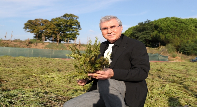 Sakarya’da belediyenin yetiştirdiği tıbbi ve aromatik bitkiler ihracat yolunda