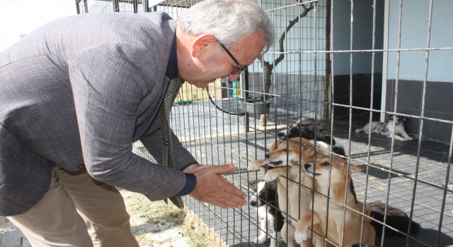 Keşan Belediyesi yavru köpeklere ”yediemin” oldu