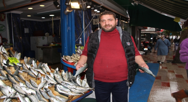 Bandırma’da lüfer bolluğu yaşanıyor