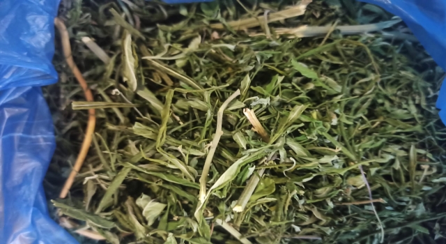 Taraklı’da uyuşturucu operasyonunda 7 kilogram esrar ele geçirildi