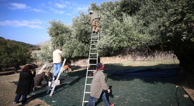 Gökçeada’nın Trabzonlu sakinlerinin yıllardır süren örnek yardımlaşması